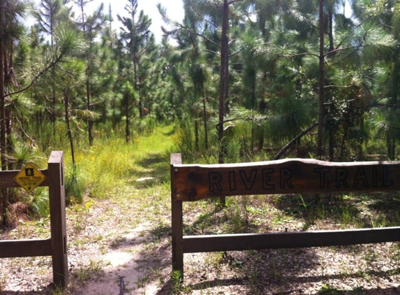 Withlacoochee River Park - Dade City, FL