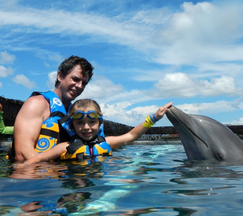 Dolphin World - Fort Lauderdale, FL