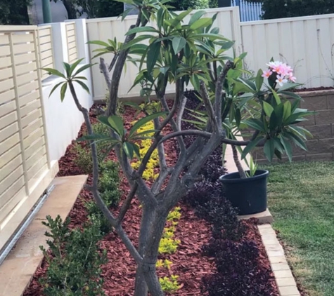 IVIEW Landscapes