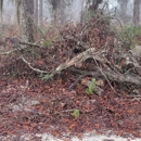 Floridas Tree Masters - Arborists