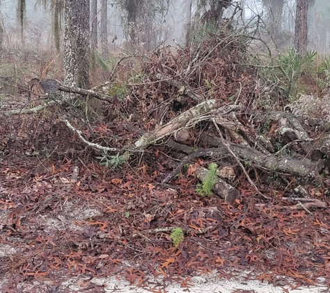 Floridas Tree Masters - Port Orange, FL. pile left uncleared where my neighbors fence used to be