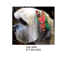 Janie's Professional Dog Grooming - Pet Grooming