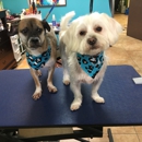 Woof-Wash and Grooming - Pet Services
