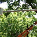 Schneider Tree Service - Arborists