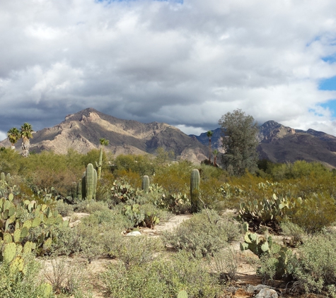 Tohono Chul Garden Bistro - Tucson, AZ