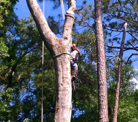 Above All Else Tree Service - Kingsland, GA