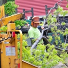 Great Lakes Tree Services Inc - CLOSED