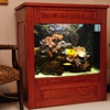 Aquarium Services by Dave Bennett gallery