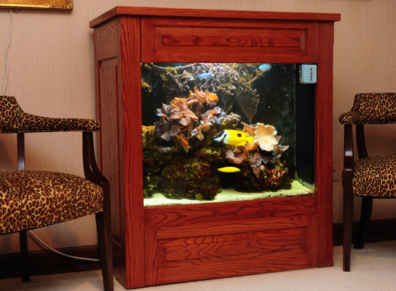 Aquarium Services by Dave Bennett - Saint Peters, MO