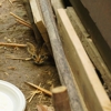 BugOut Pest Control gallery