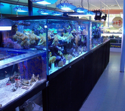 Creative Aquariums of Tampa - Tampa, FL