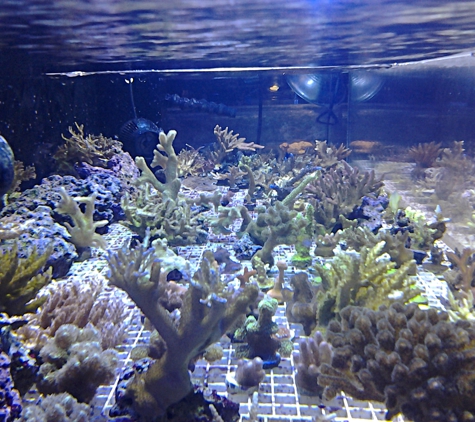 Saltwater Reef Shop Inc - Tulsa, OK