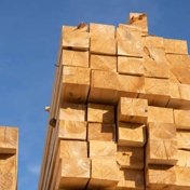 Gallery Image Number 5