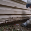 Pest Exterminators gallery