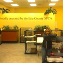 County Spca Erie - Humane Societies