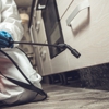 Green Leaf Pest Services gallery