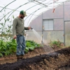 Banta Landscaping Corp gallery