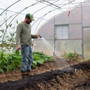 Banta Landscaping Corp - Landscape Designers & Consultants