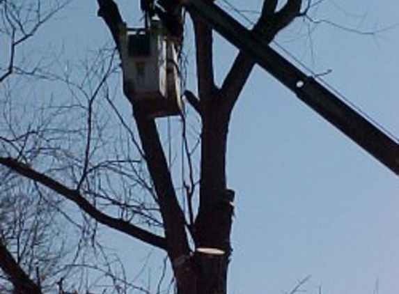 Knoll & Son's Tree Service - Michigan City, IN