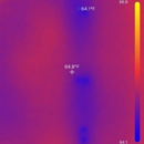 Fast Mold Testing - San Antonio