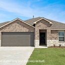 Autumn Chase at Town Central by D.R. Horton - Home Builders