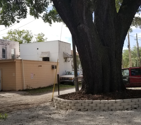 Greenwise Tree Surgeons - Jacksonville, FL. Large oak after