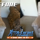 A Plus Carpet Cleaning - Upholstery Cleaners
