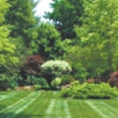 Melvin's Lawn & Landscape - Lawn Maintenance