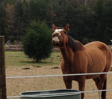 James River Equine Services - 1719 Yorktown DR Charlottesville - Charlottesville, VA