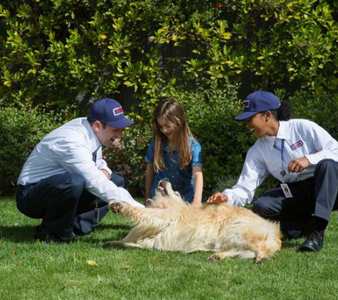 Clark Pest Control - San Jose, CA