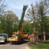 Akins-Alford's Tree Care gallery