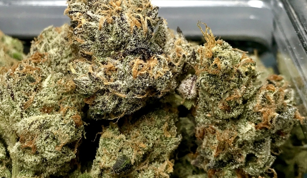 Star Buds - Westminster, CO