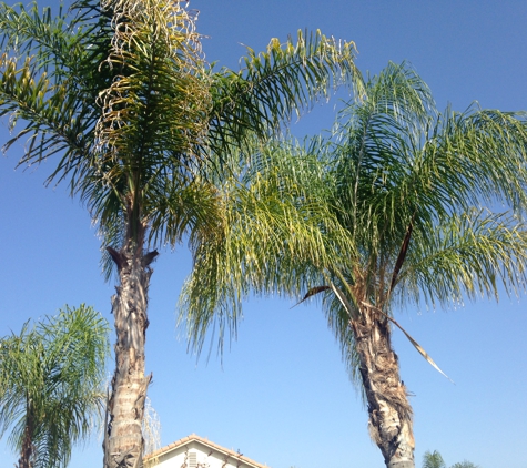 Ricardo's Landscaping & Tree Service - Rancho Cucamonga, CA