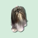 The Pet Spaw - Kennels