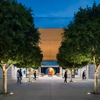 Apple Valley Fair gallery