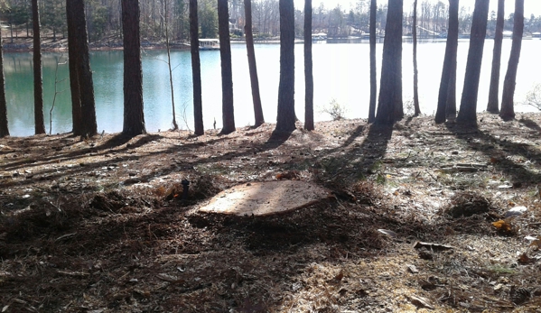 Town And Country Stump Removal - Walhalla, SC
