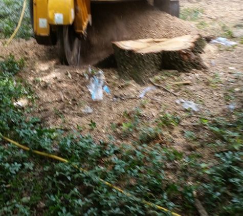 Five Starr Stump Grinding