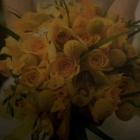 Daevid's Bridal Flowers