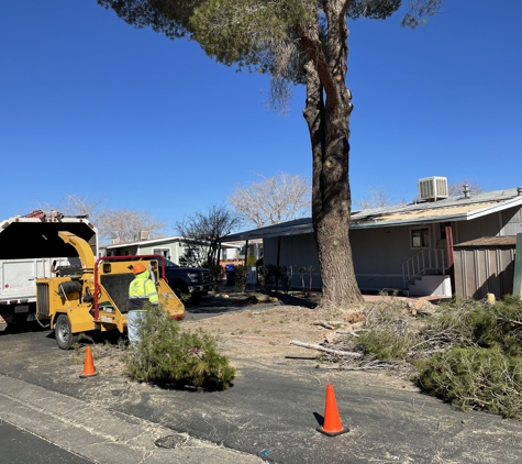 Pedro Lopez Tree Service - Palmdale, CA