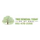 Tree Removal Today of St Paul - Tree Service