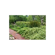 Gallery Image Number 1