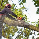 Loud's Tree Service - Logging Companies