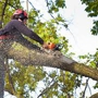 Loud's Tree Service