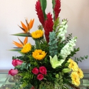 Juanita's Flowers For All Occasions - Plants