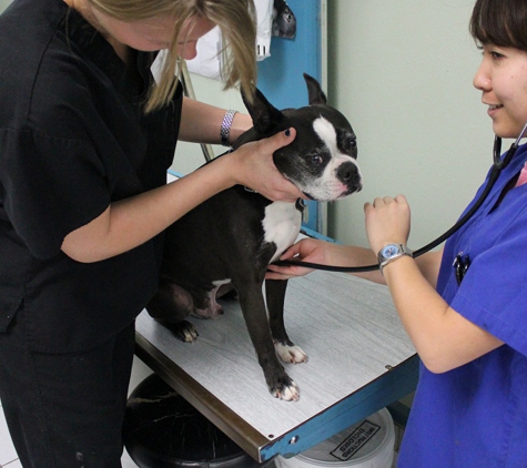 Northwood Animal Hospital - Irvine, CA