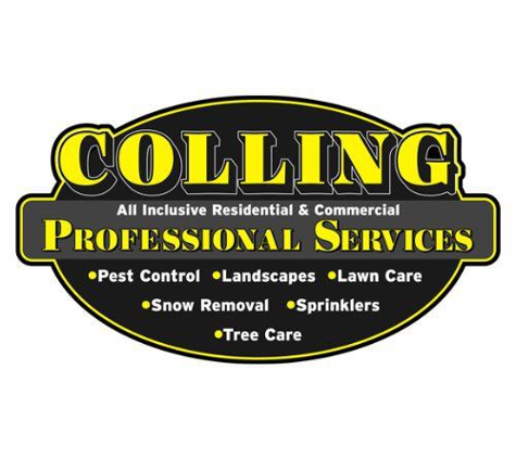 Colling Professional Services - Idaho Falls, ID