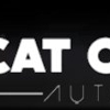 Cat City Auto Collision Center gallery