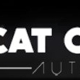 Cat City Auto Collision Center