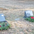 Pine Forest Pet Cemetery