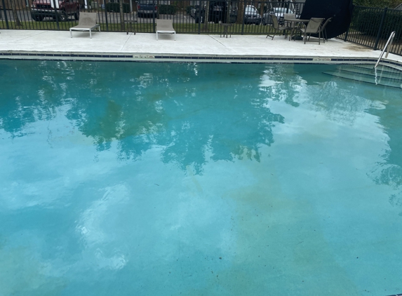 L.P.T. Pool Service, Inc. - Tallahassee, FL. This was taken immediately after a most recent visit. Would not recommend. Owner was not helpful at resolving the issue.